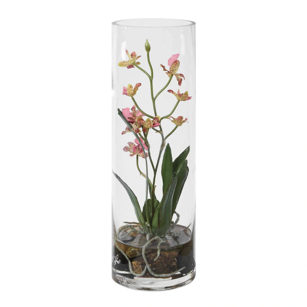 Orchid