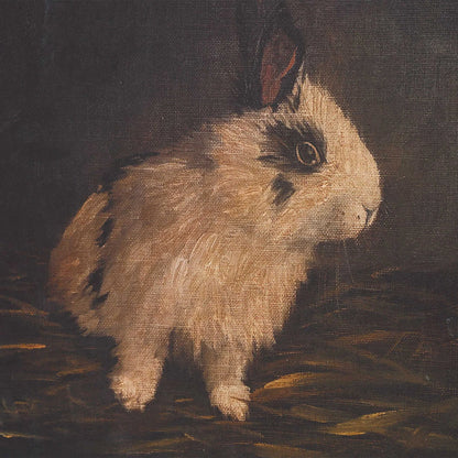 Framed Rabbit Prints, Set of 9