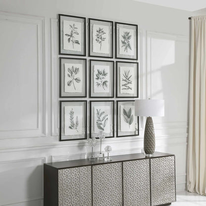 Framed Botanical Prints, Set of 9