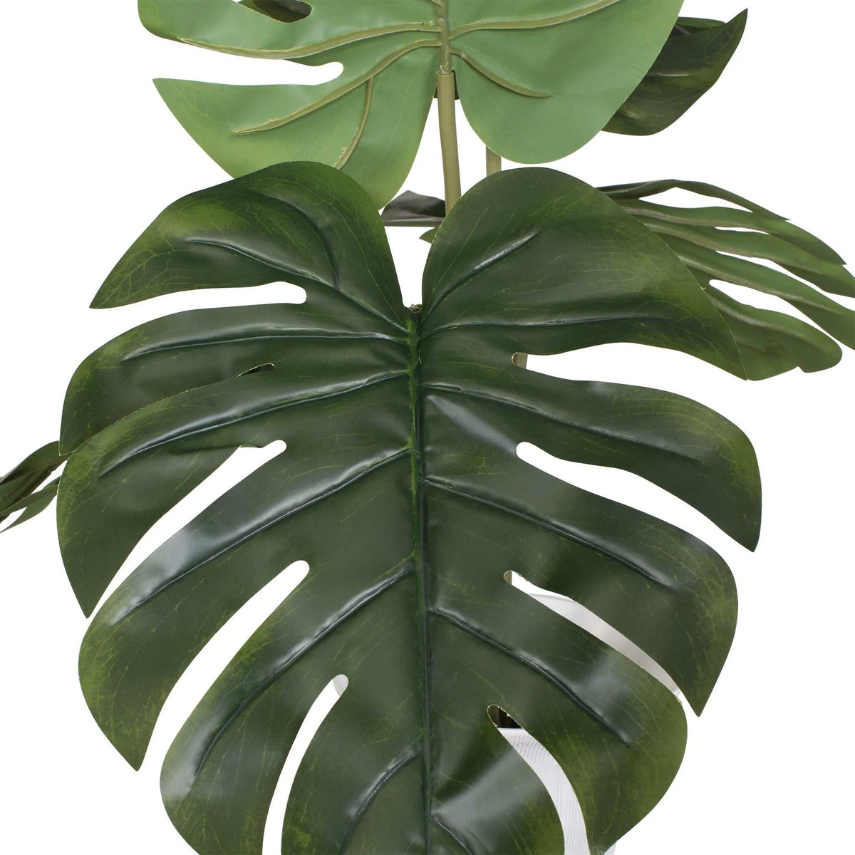Monstera White Vase Centerpiece