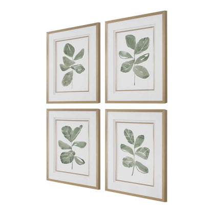 Fiddle Leaf Botanical Prints, Set of 4