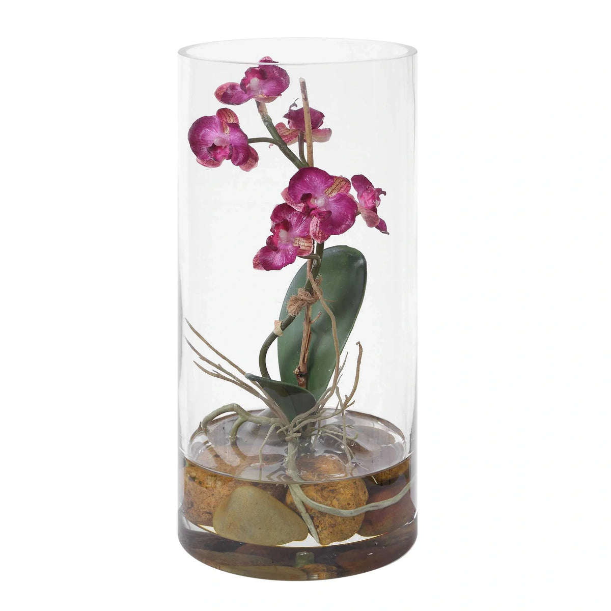 Orchid