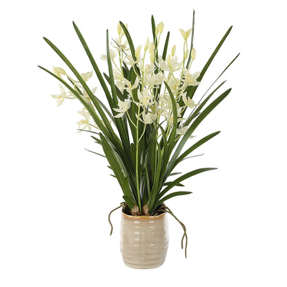 Orchid Planter