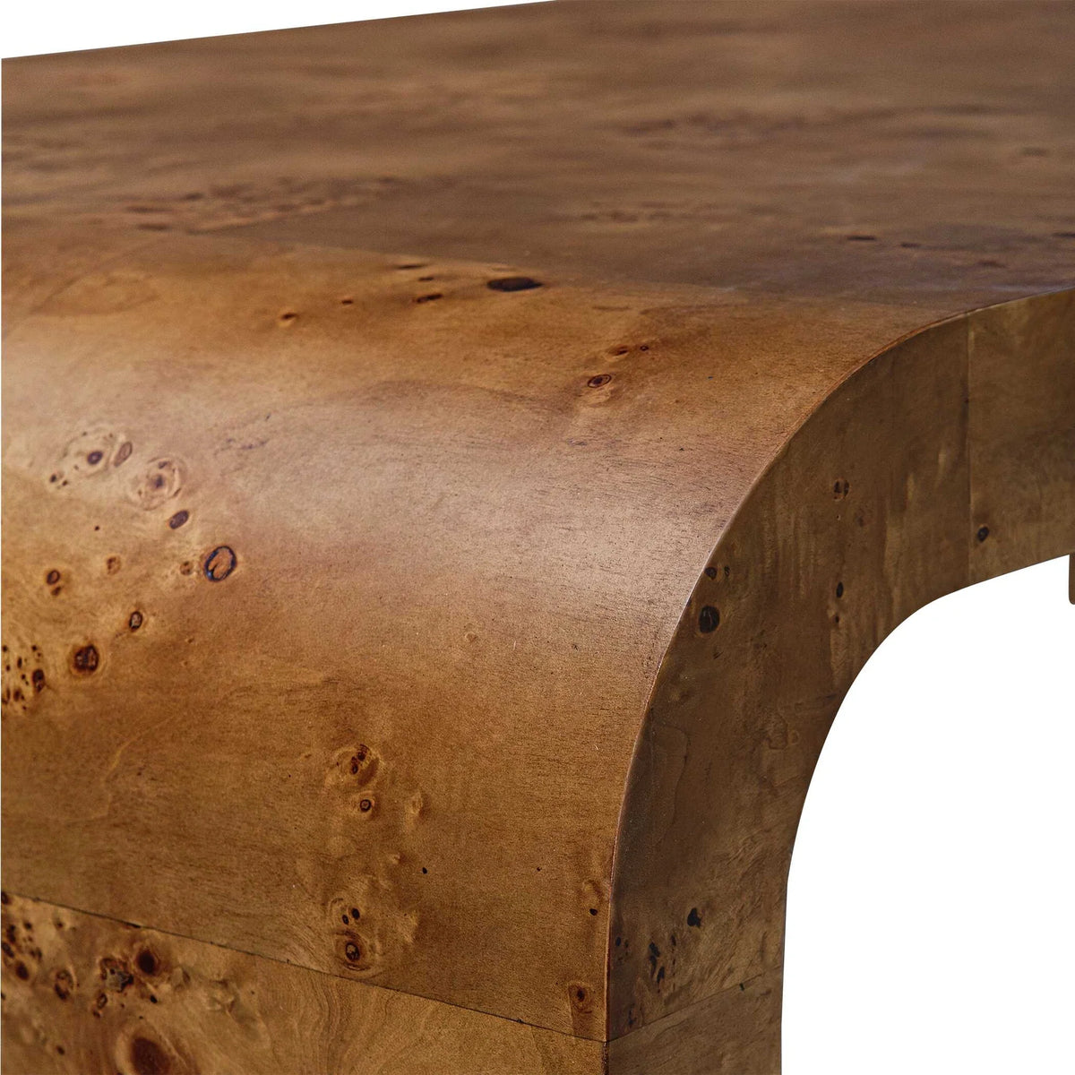 Burl Wood Coffee Table