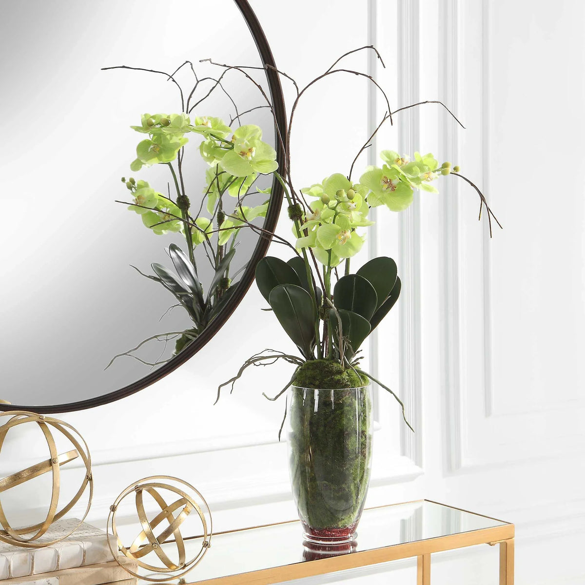 Green Orchid