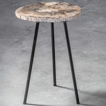 Petrified Wood Accent Table