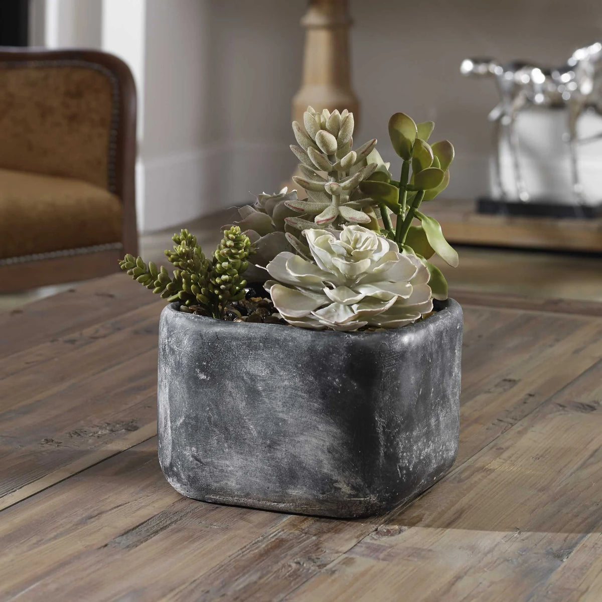 Desert Garden Succulents