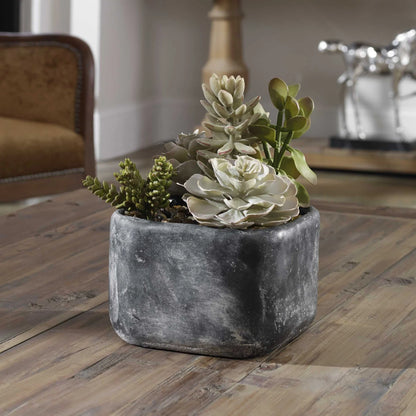 Desert Garden Succulents