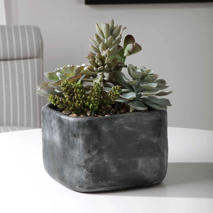 Desert Garden Succulents