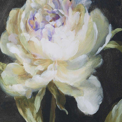 Botanical Framed Prints, Set of 4