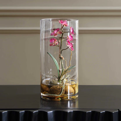 Orchid
