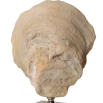 Oyster Shell Sculptures, Set of 2
