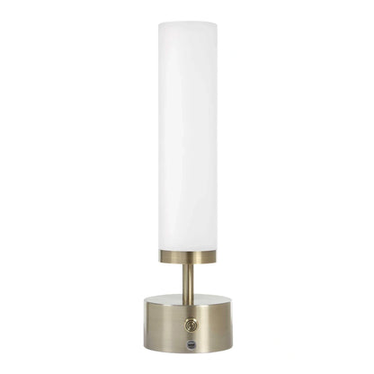 Rechargeable LED Accent Lamp