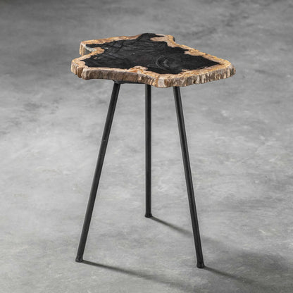 Petrified Wood Accent Table