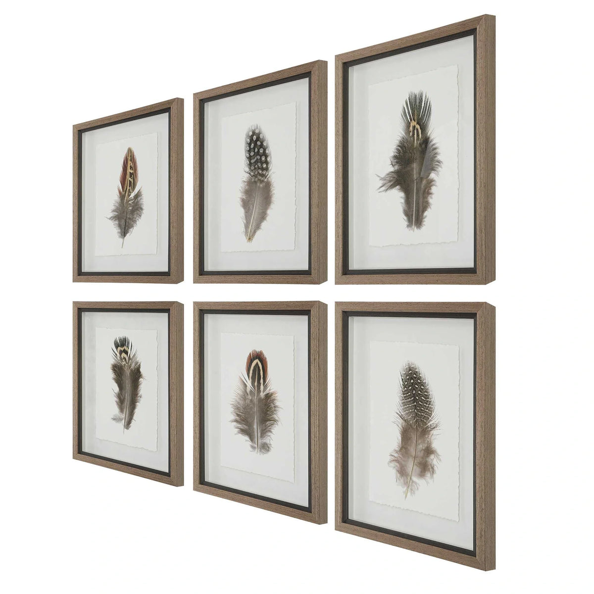 Birds of a Feather Framed Prints Set/6