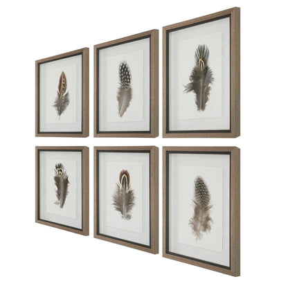 Birds of a Feather Framed Prints Set/6