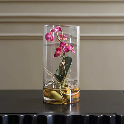 Orchid