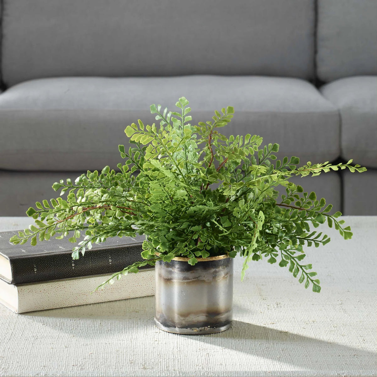 Fern In Oxidized Container