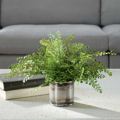 Fern In Oxidized Container