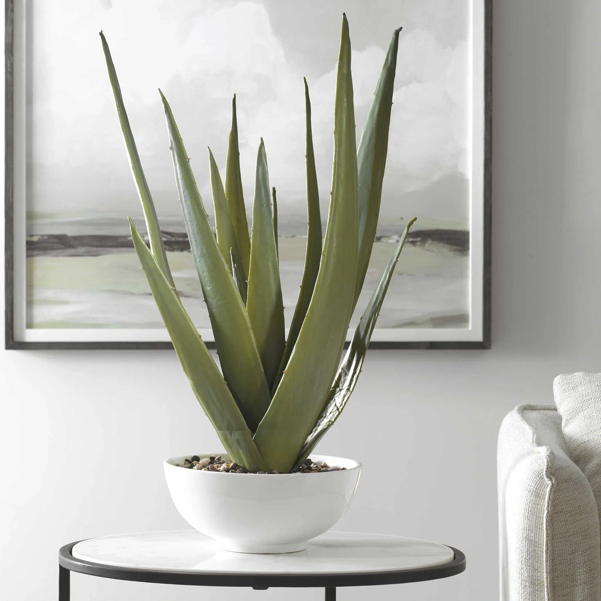 Aloe Planter