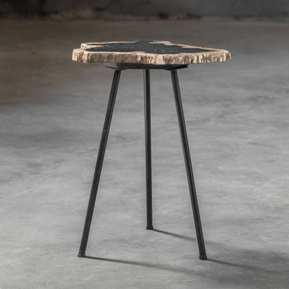 Petrified Wood Accent Table