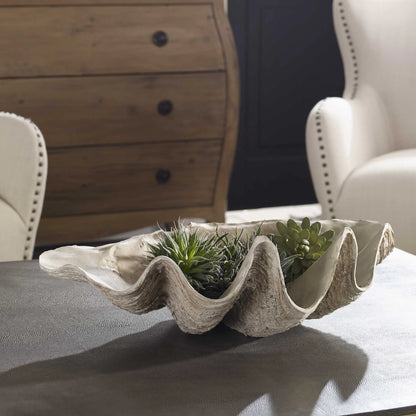 Shell Bowl