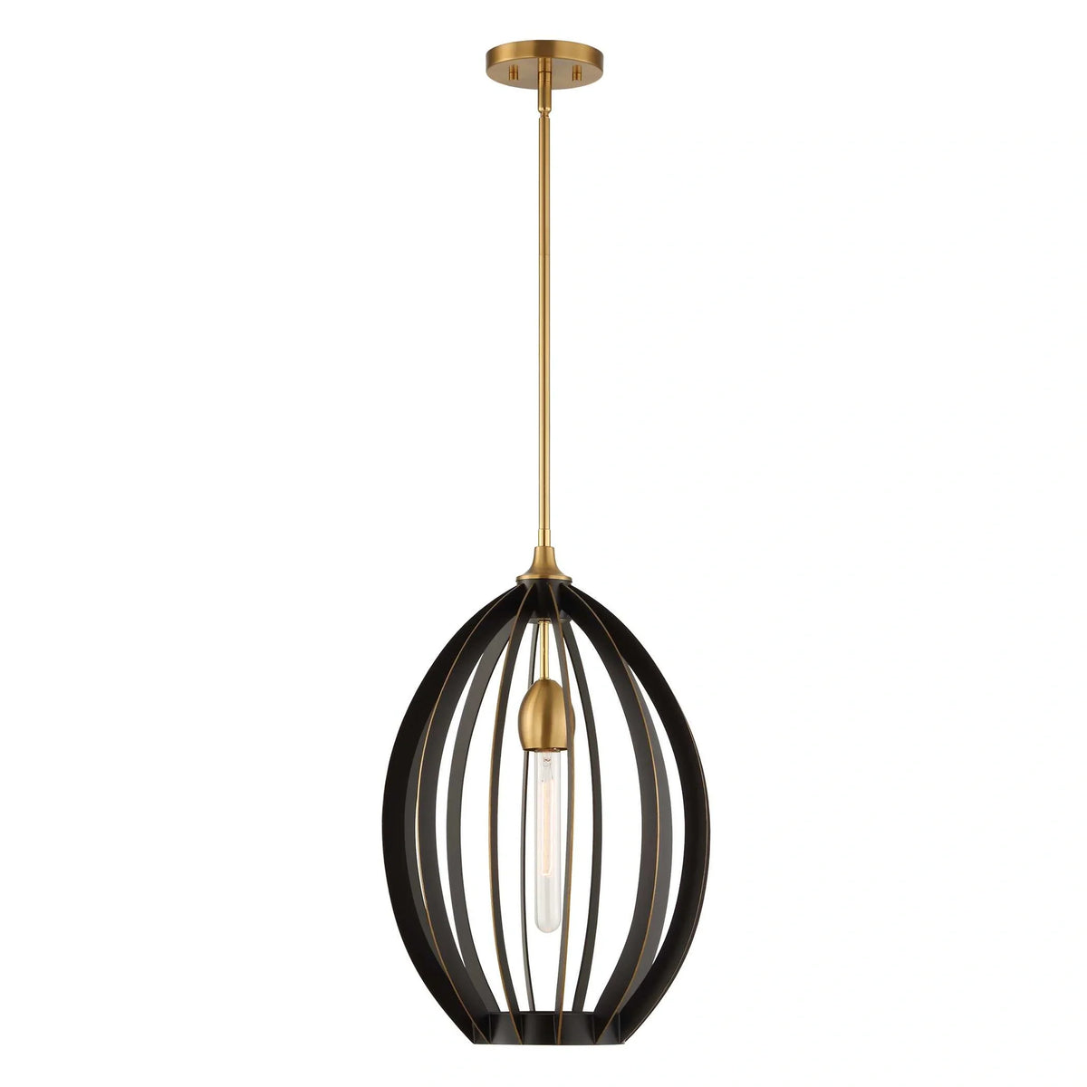 1 Light Architectural Oval Pendant