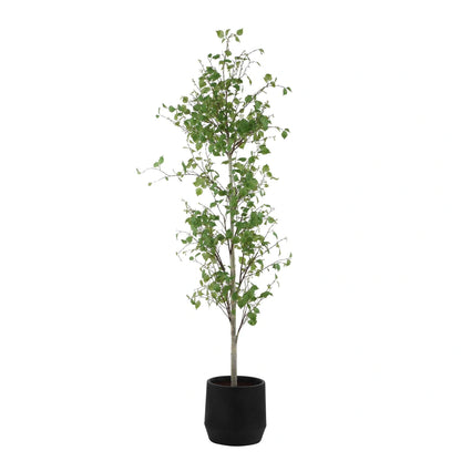Potted Birch Tree