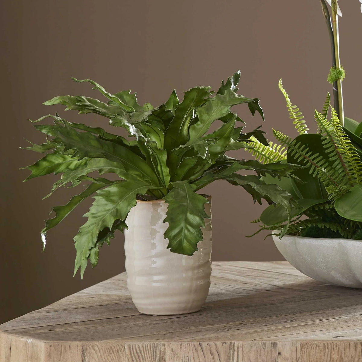 In Glazed Pot