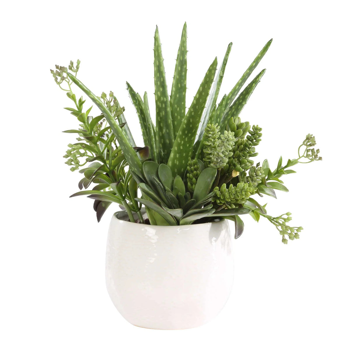 Succulent Arrangement Planter