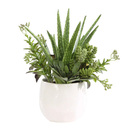 Succulent Arrangement Planter