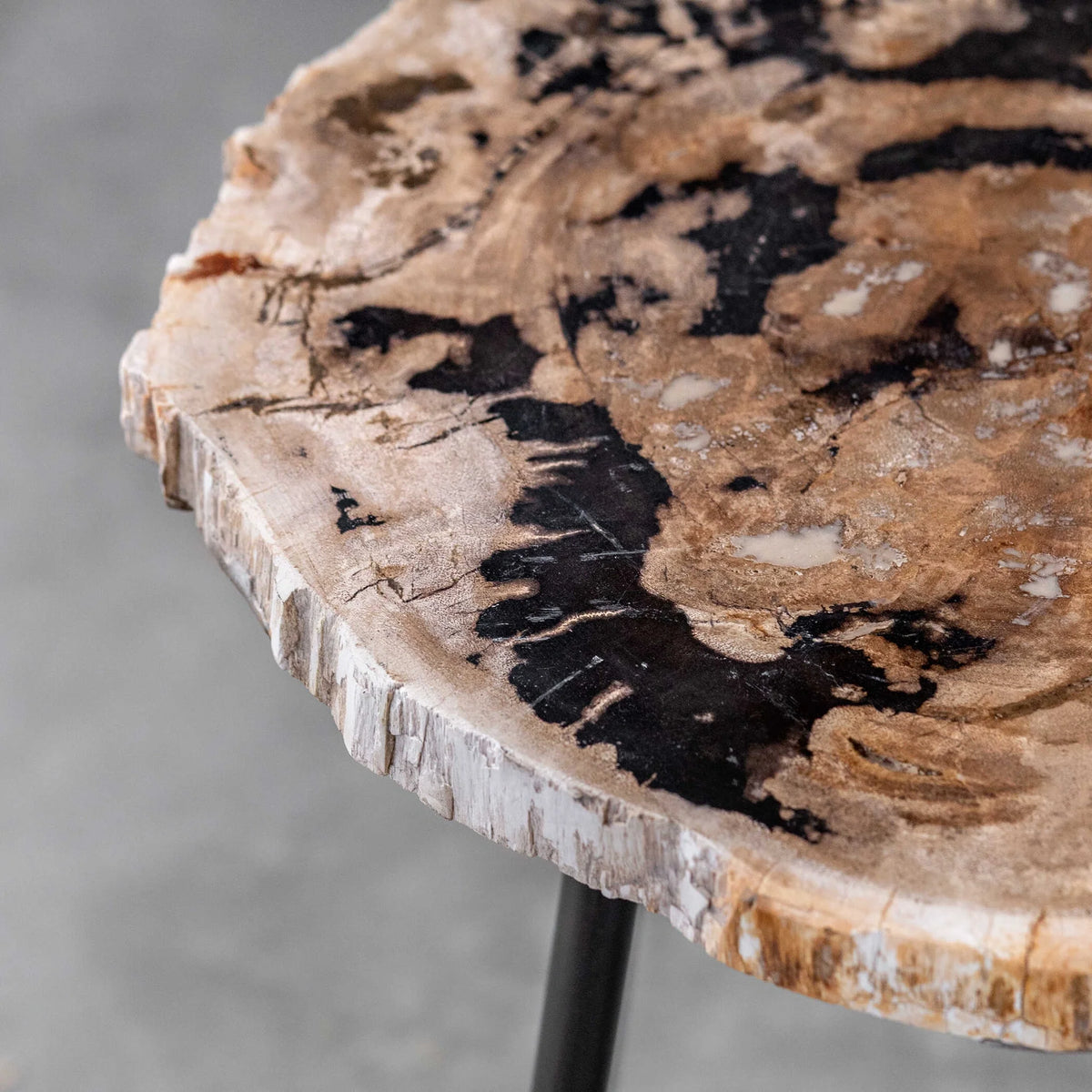 Petrified Wood Accent Table