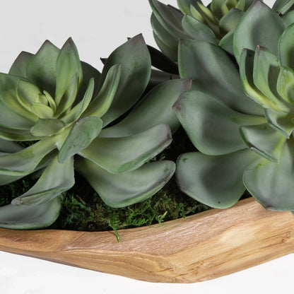 Green Succulent Centerpiece