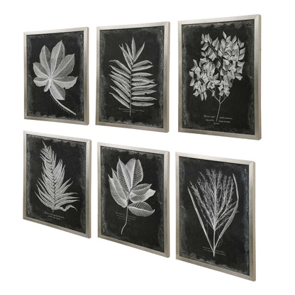 Botanical Leaf Prints, Set of 6