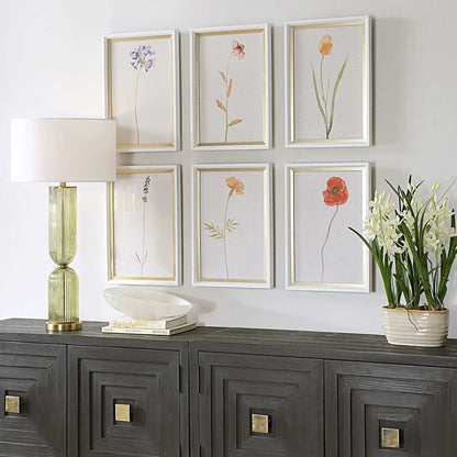 Framed Floral Prints Set/6