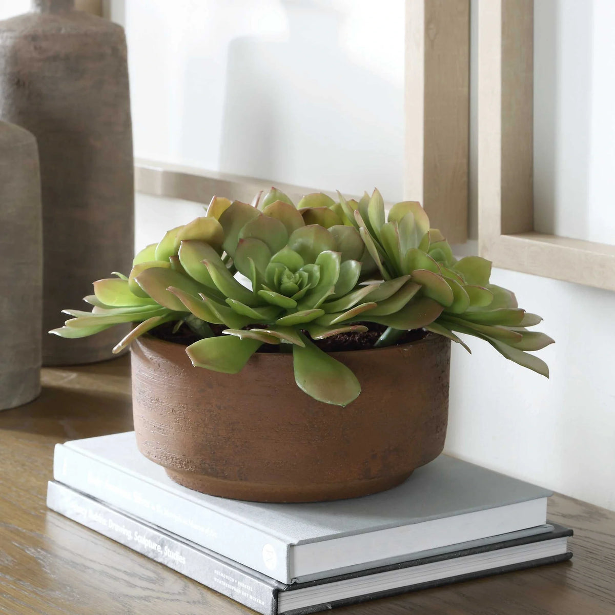 Succulent Accent in Terracotta Pot