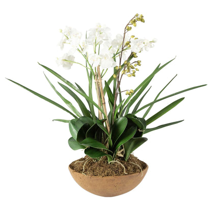 Planter