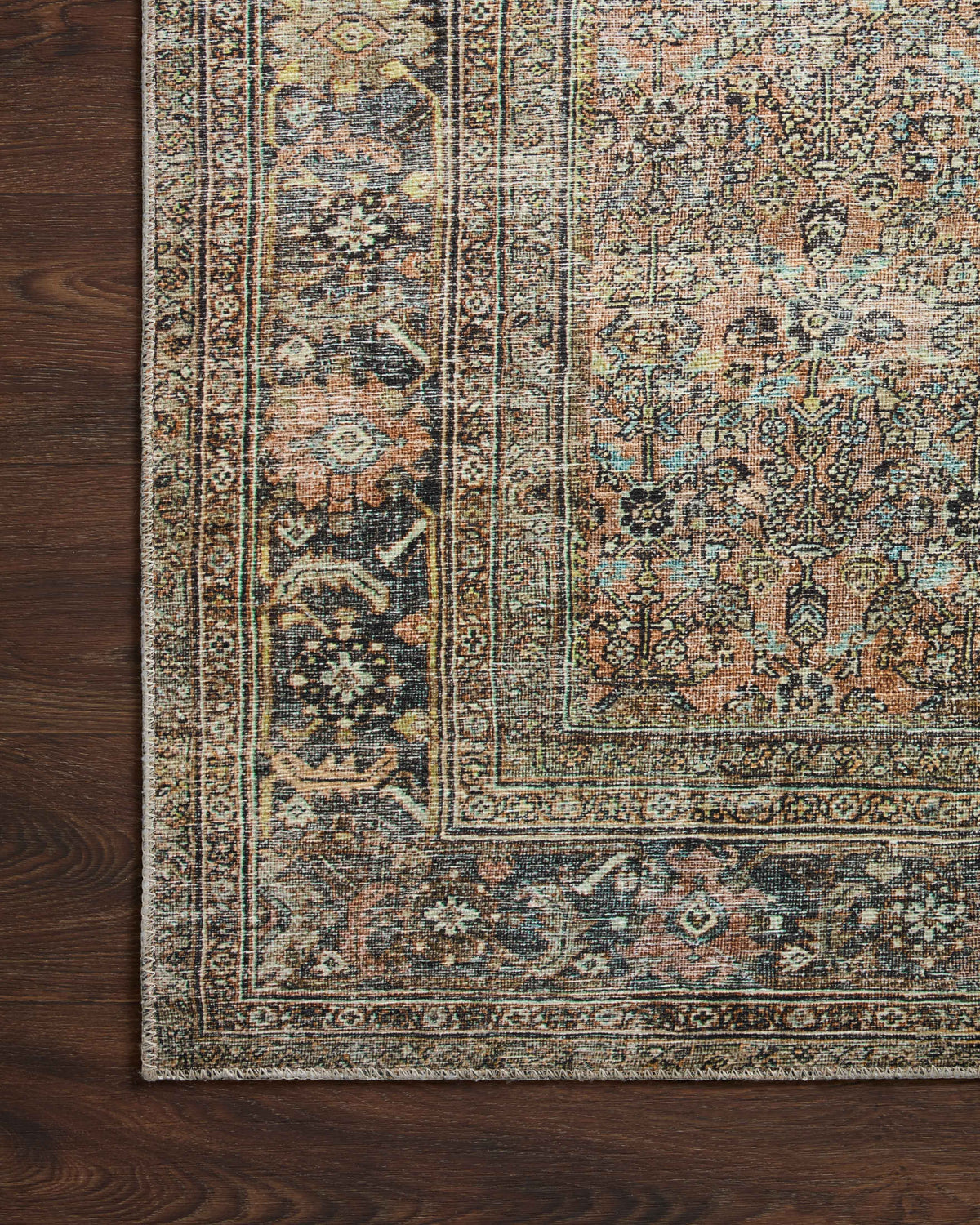 Loloi adrian accent rug
