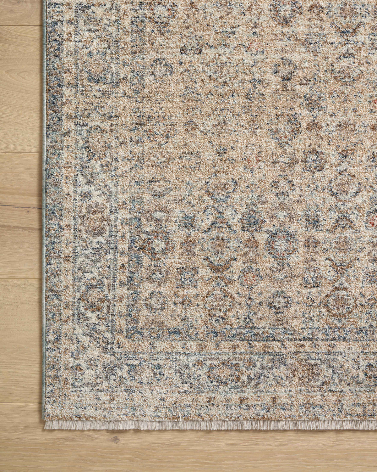 Angela Rose x Loloi Blake Round Area Rug