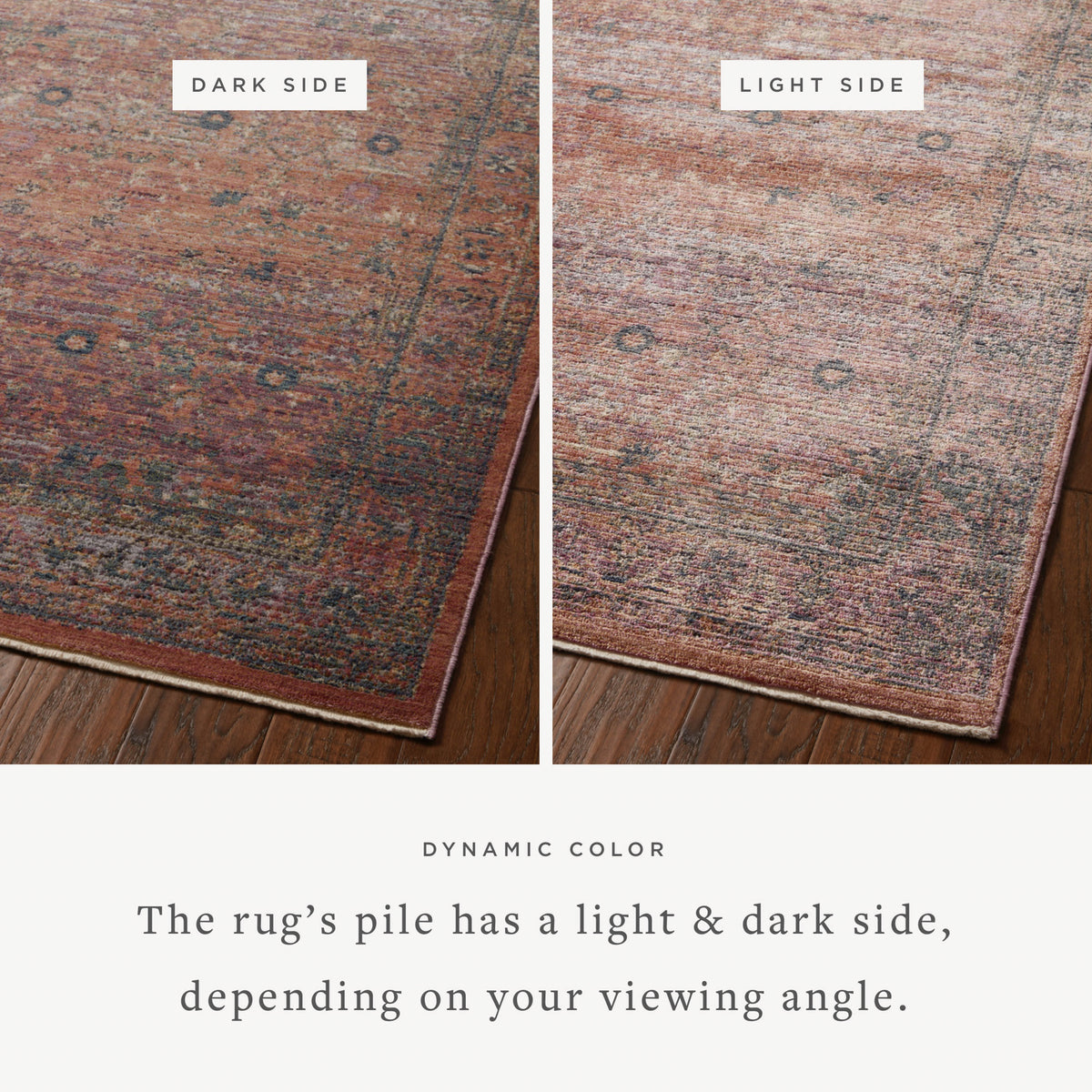 Jean Stoffer x Loloi Bradbury Area Rug