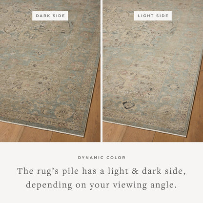 Loloi Briar Area Rug