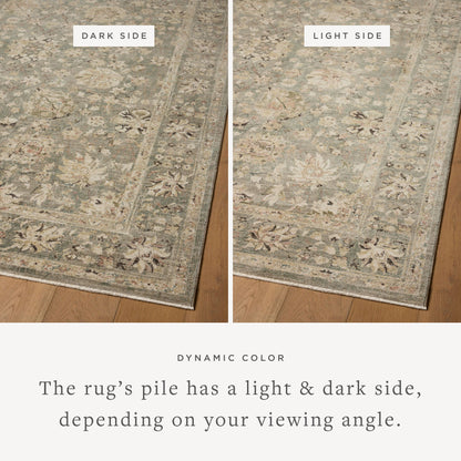Loloi Briar Accent Rug