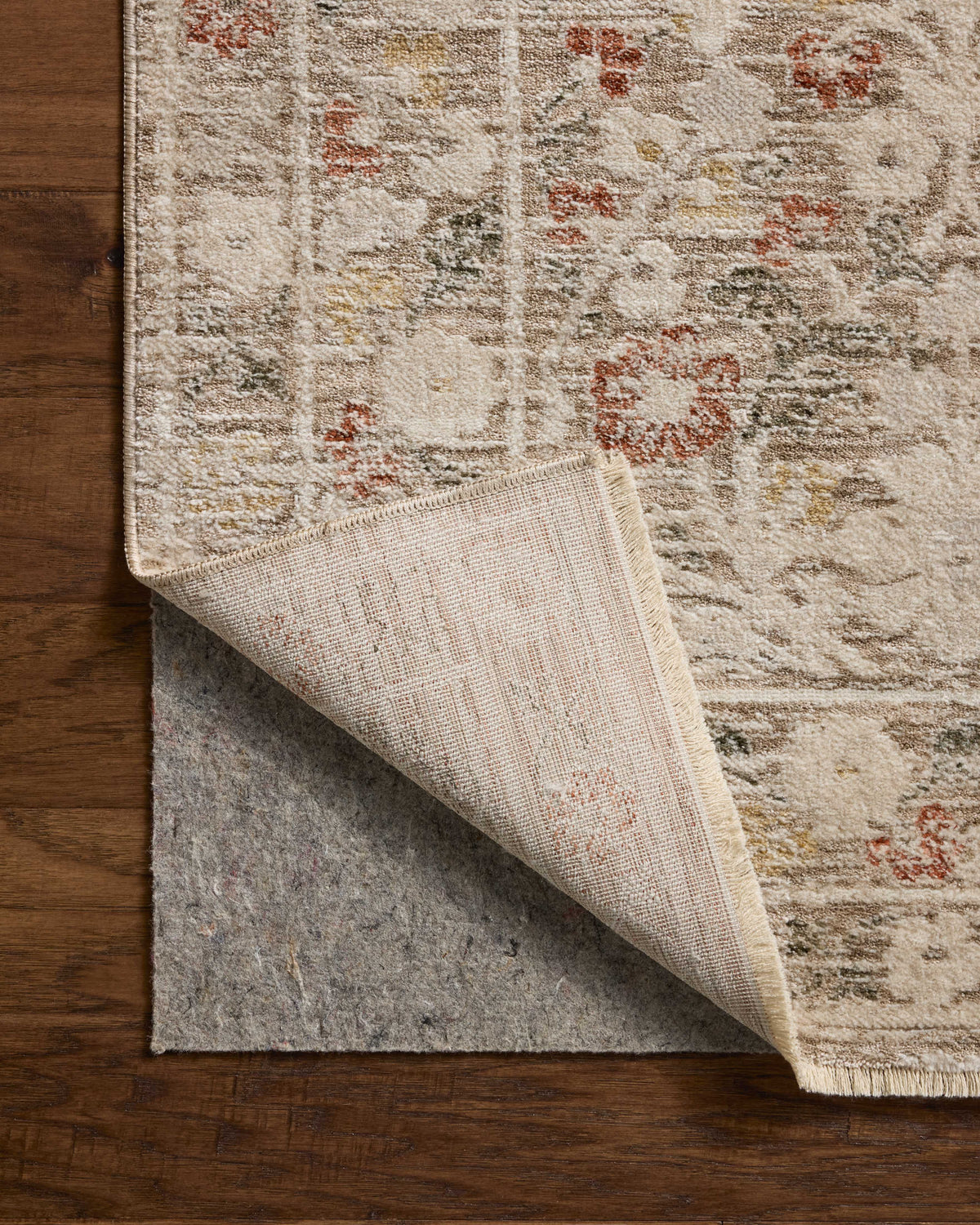 Loloi Clarisse Area Rug