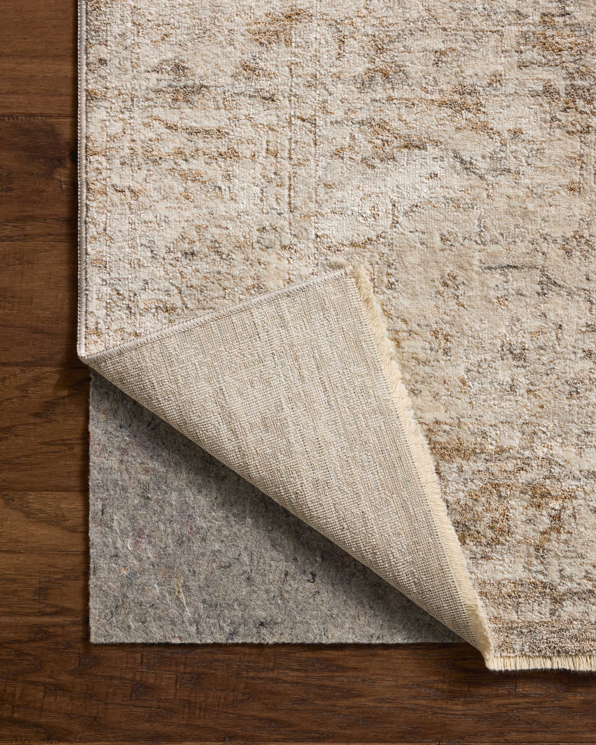 Loloi Clarisse Area Rug