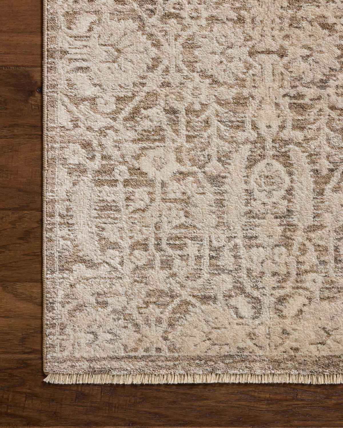 Loloi Clarisse Area Rug