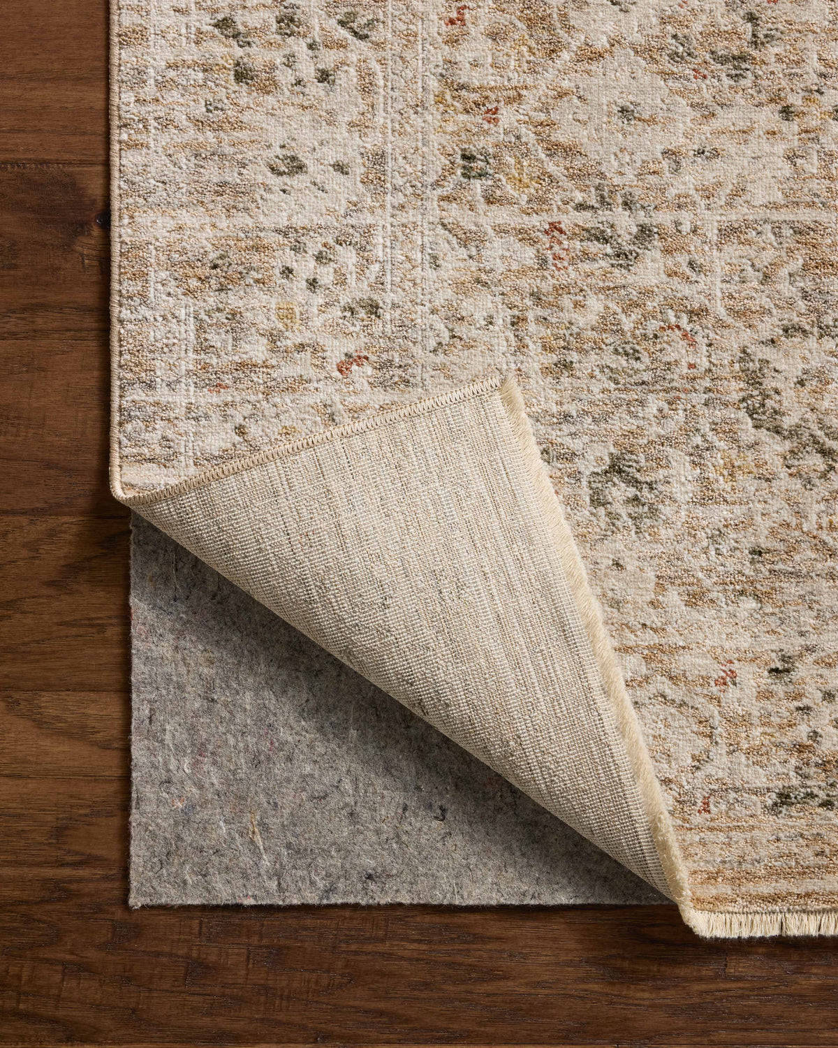 Loloi Clarisse Area Rug