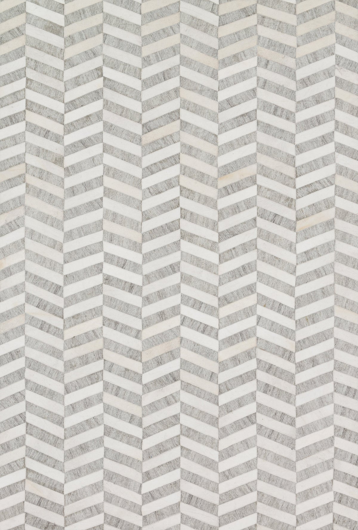 Loloi Dorado Area Rug