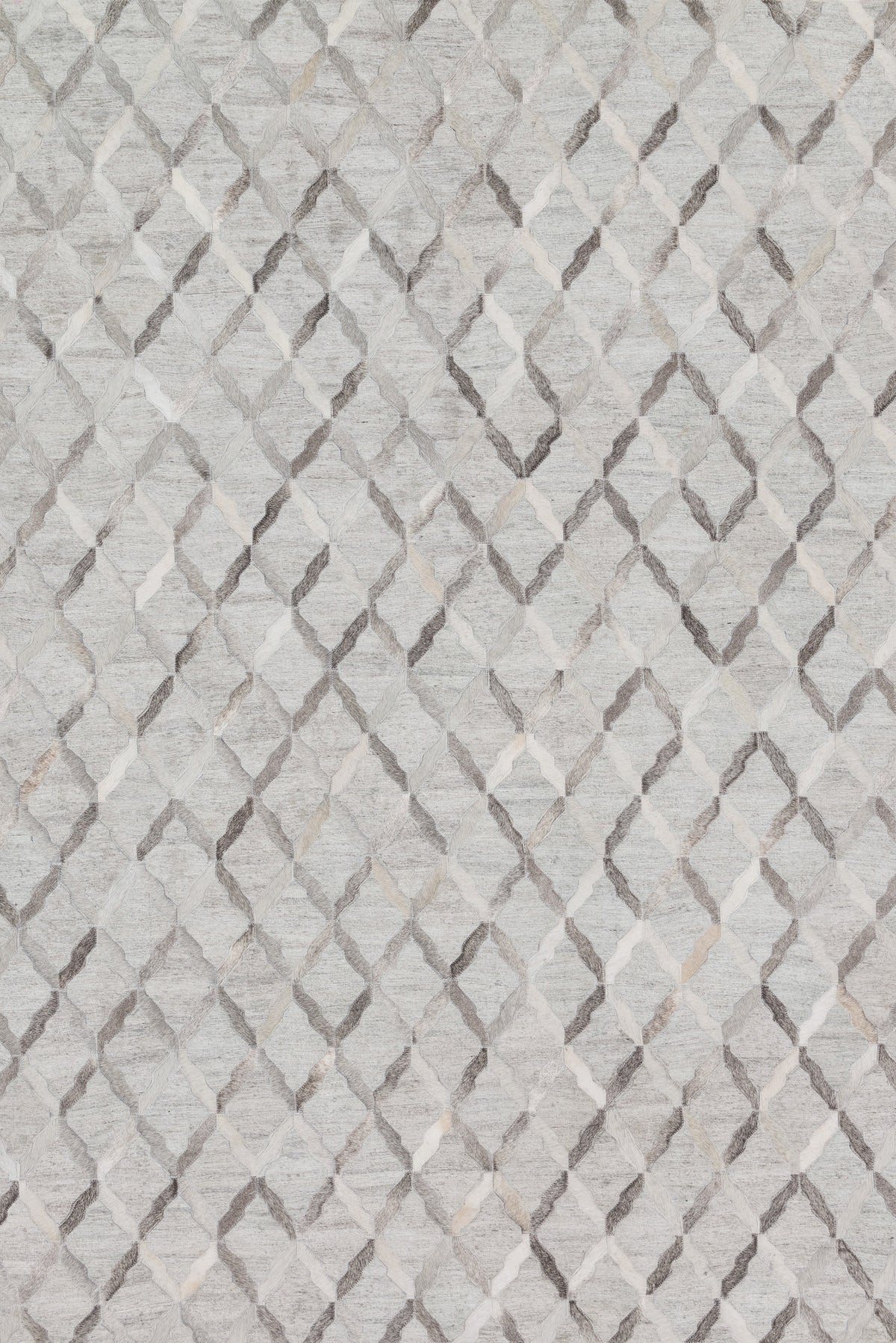 Loloi Dorado Area Rug