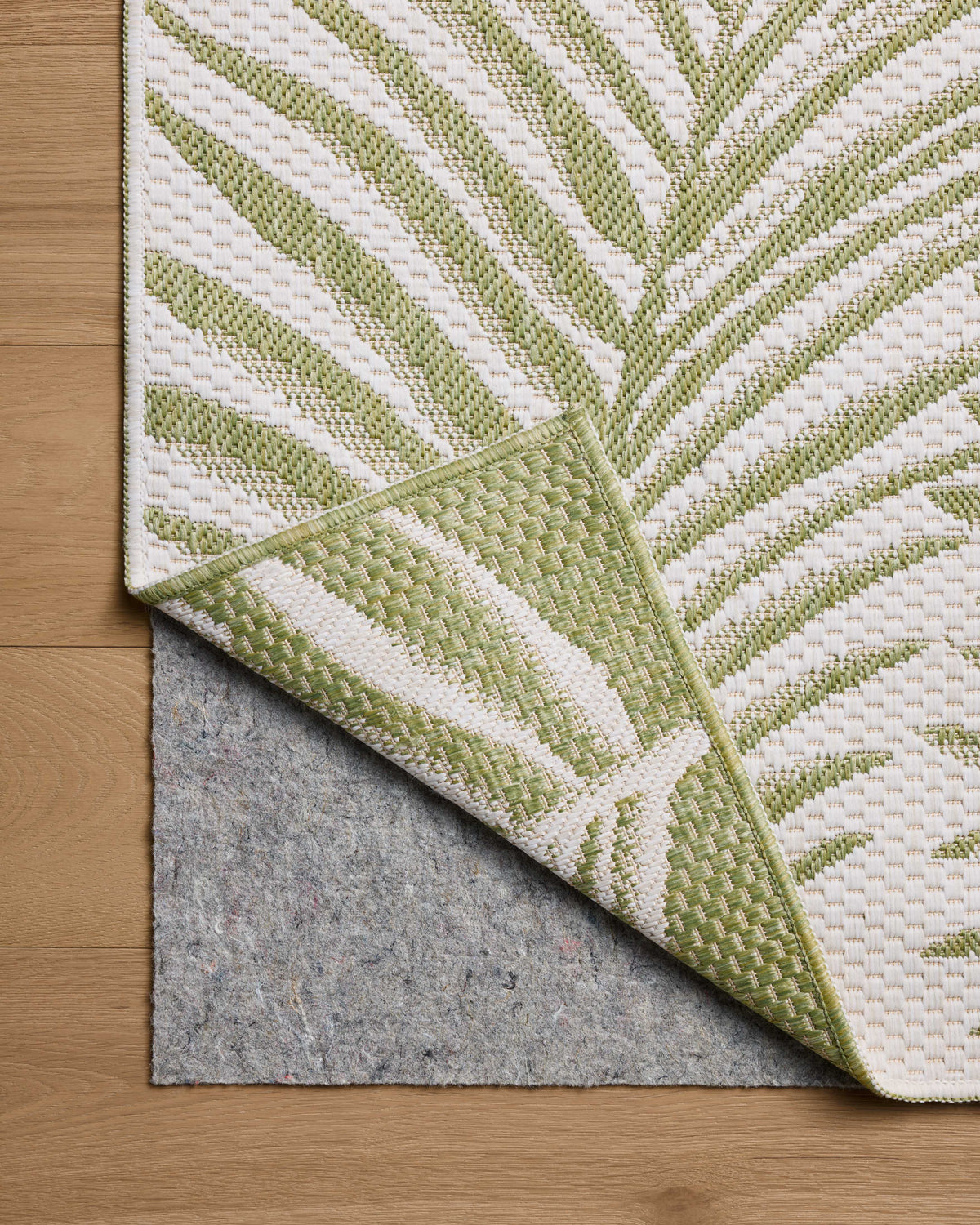 Loloi Easton Area Rug