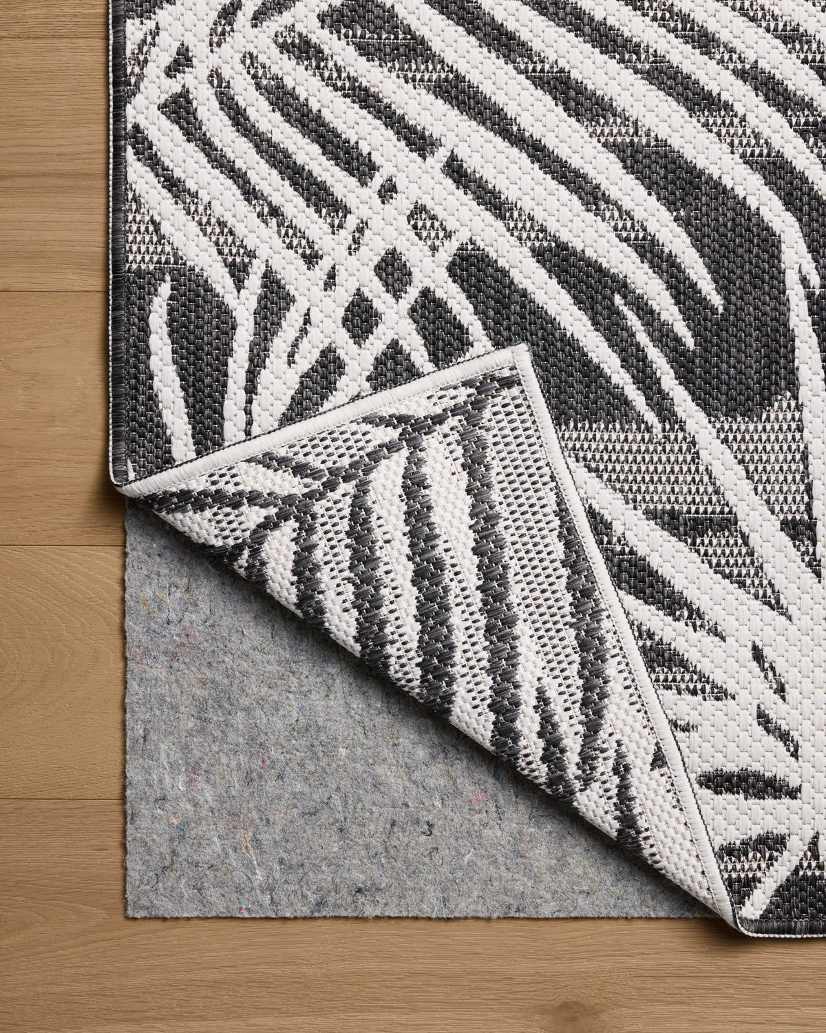 Loloi Easton Area Rug